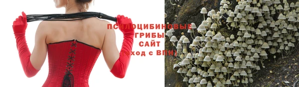 дурь Алексин