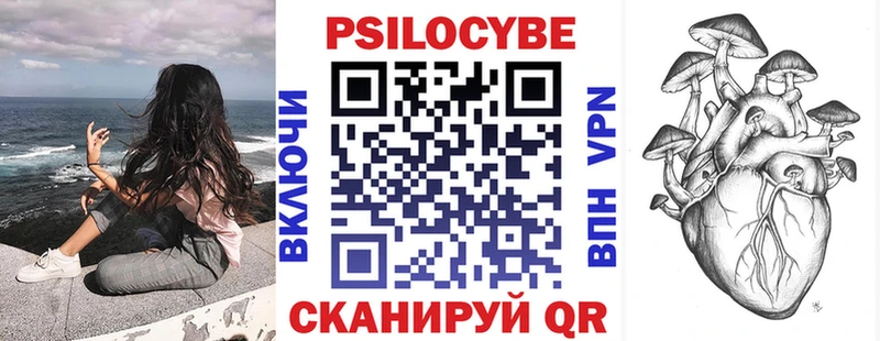 купить наркотики сайты  Бабаево  Псилоцибиновые грибы GOLDEN TEACHER 